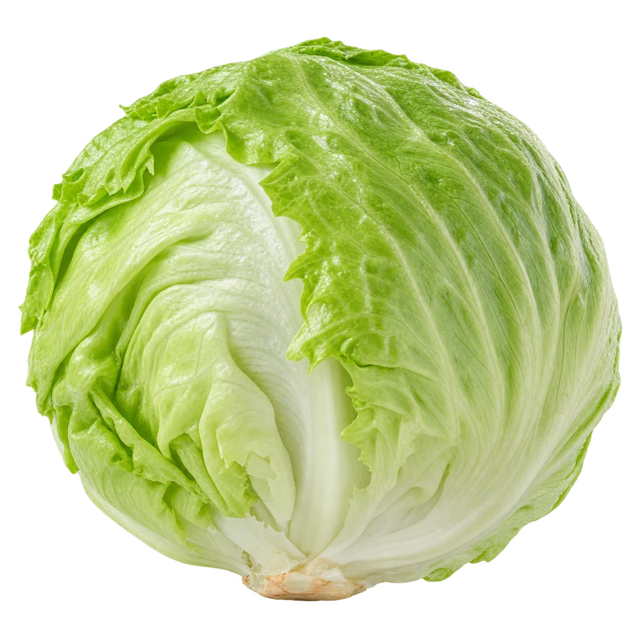 Eisbergsalat