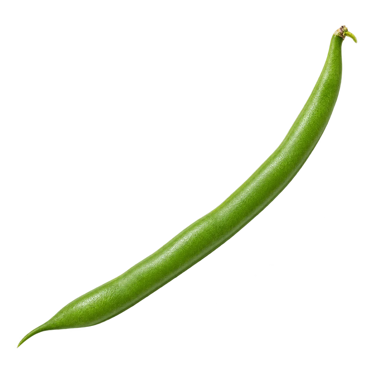 Grüne Bohne