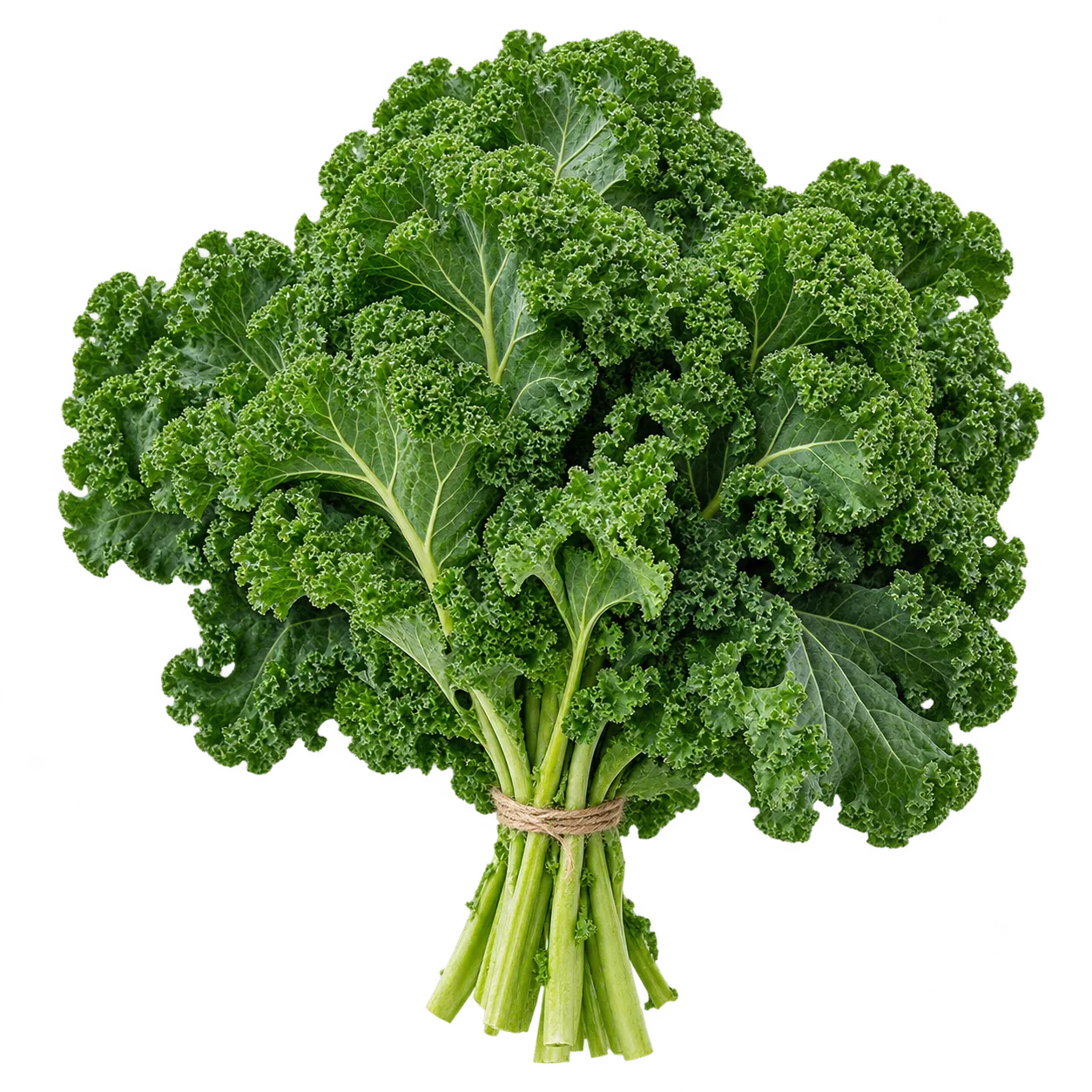 Grünkohl