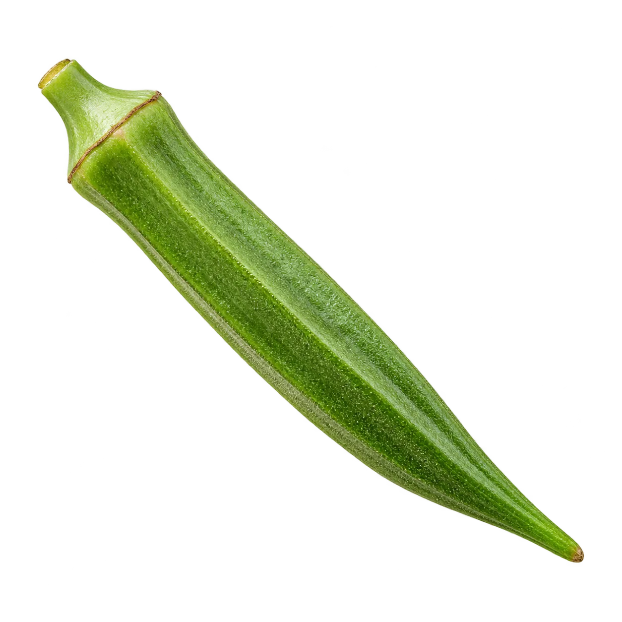 Okra