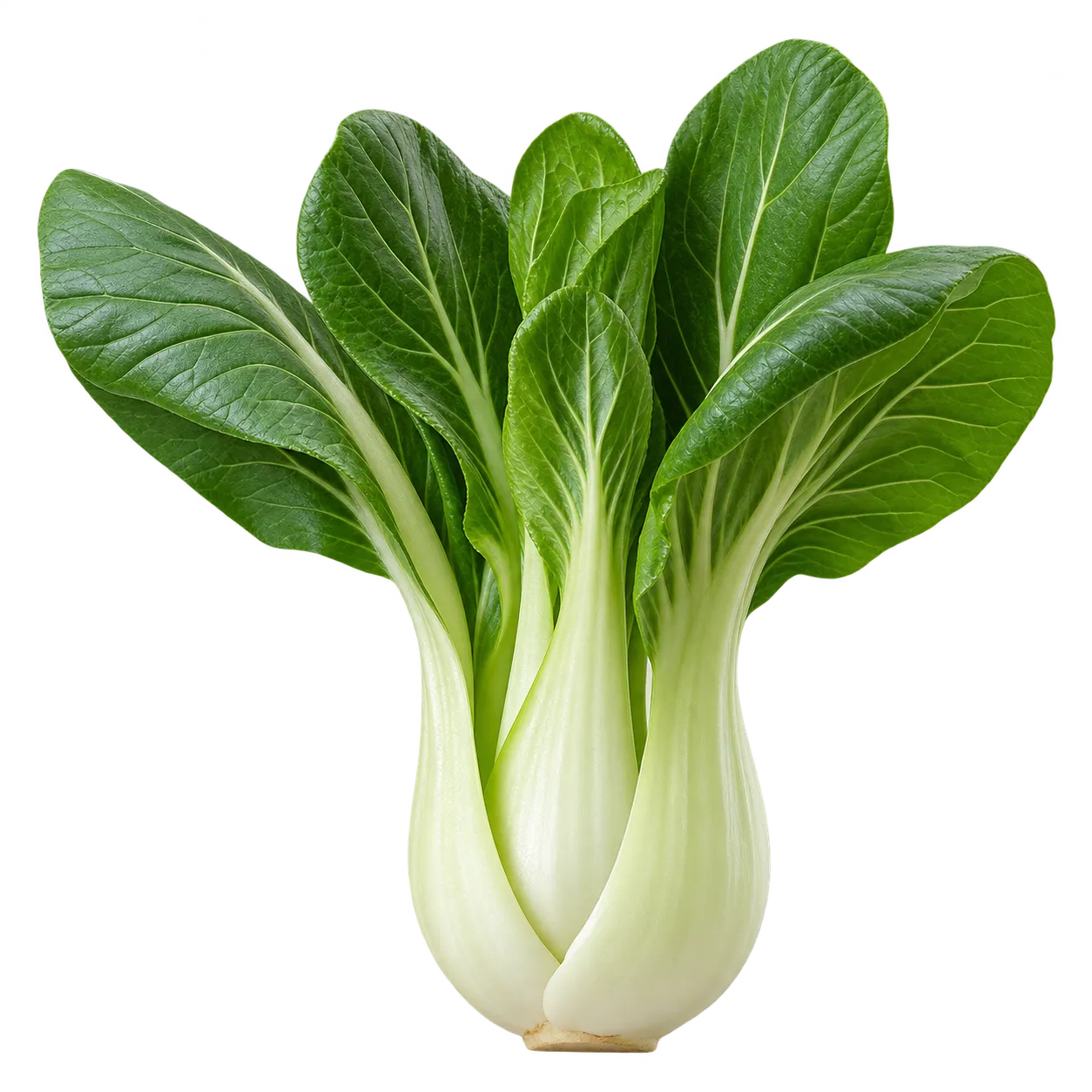 Pak Choi