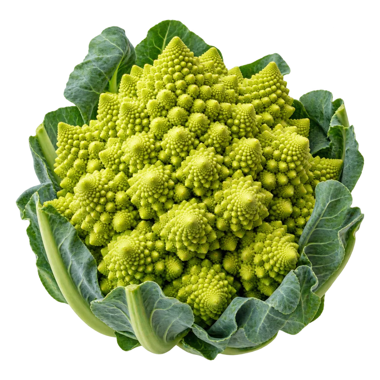 Romanesco