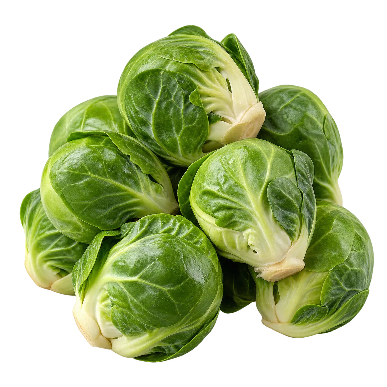 Rosenkohl
