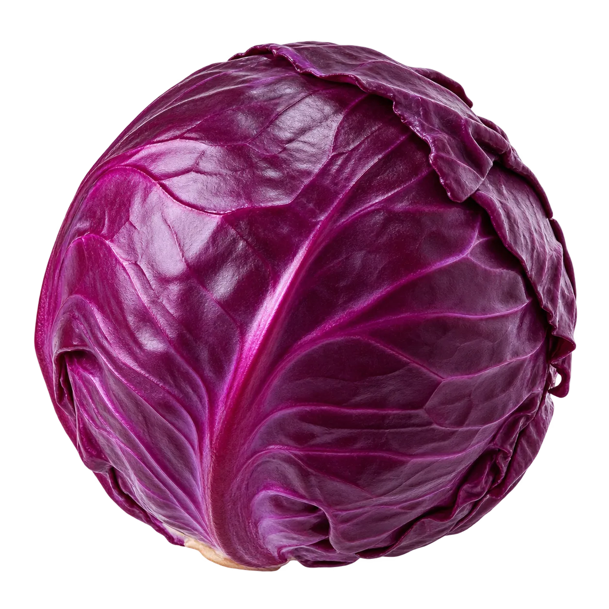 Rotkohl