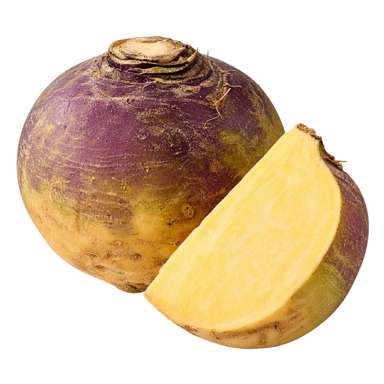 Steckrübe
