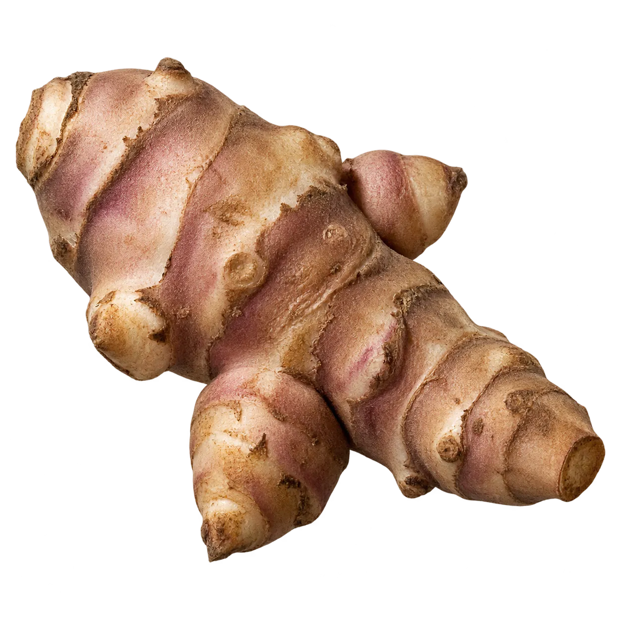Topinambur