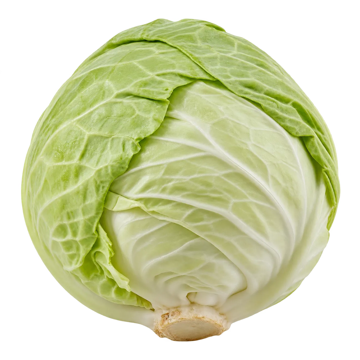 Weißkohl