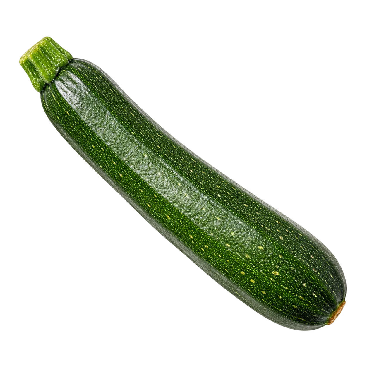 Zucchini