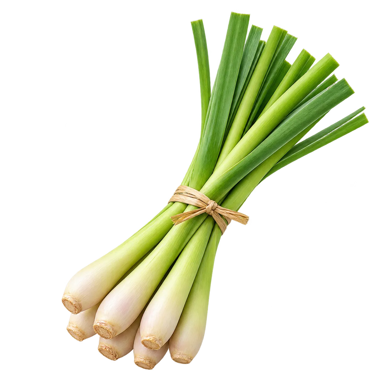 Zitronengras